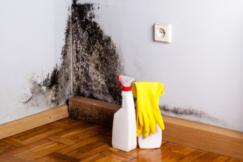 mold 5