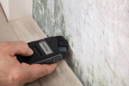 mold testing