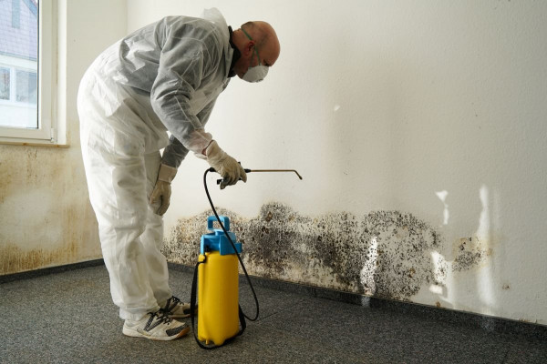 After a Flood: A Homeowner's Guide to Mold Cleanup and Recovery in Nashville, Franklin, Brentwood, Williamson County, Nolensville, Juliet, TN, and the Surrounding Areas