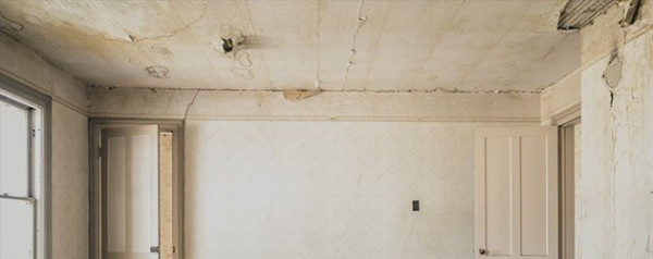 Mold Remediation