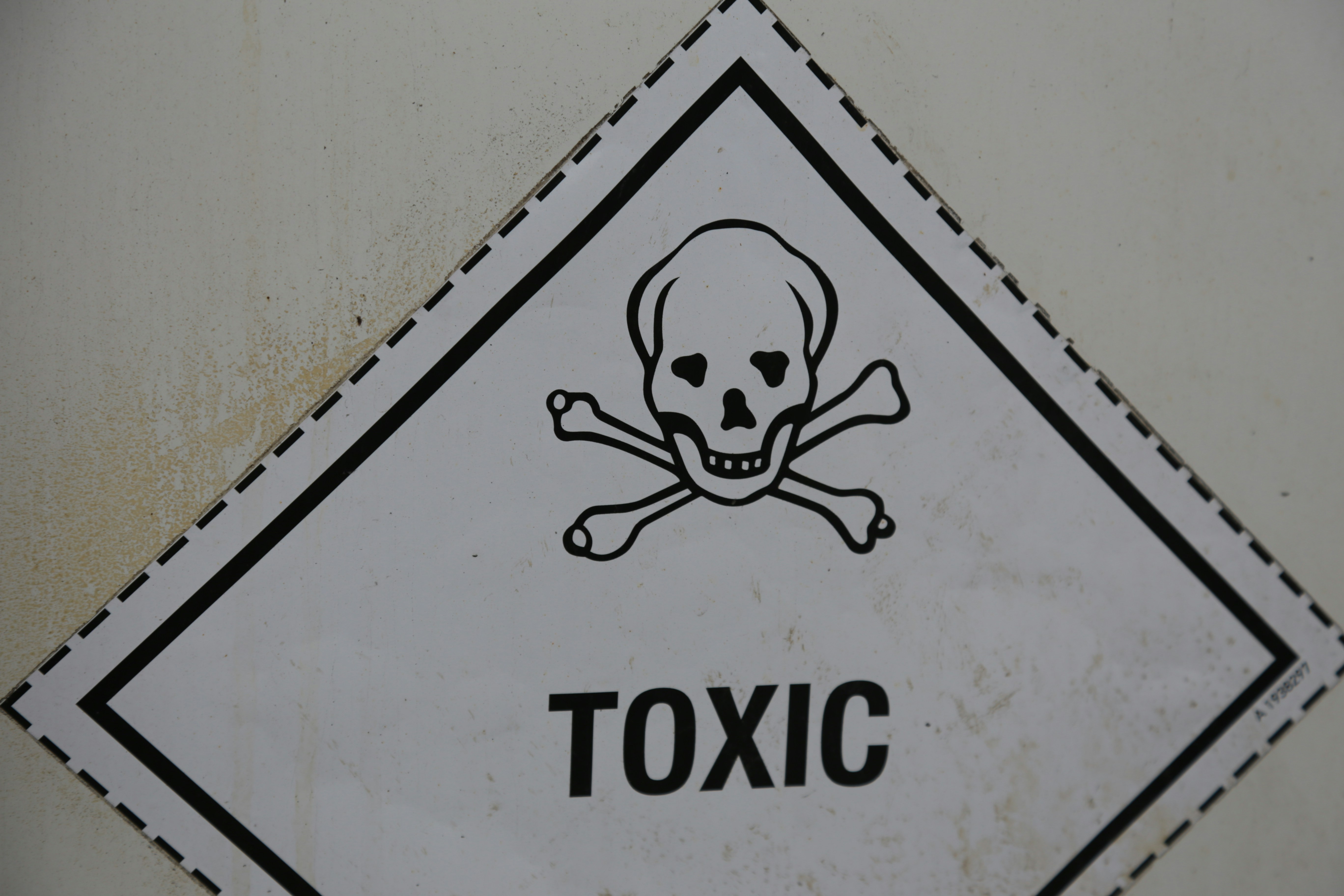 What to Do After a Biohazard Incident: A Step-by-Step Guide for Nashville Homeowners